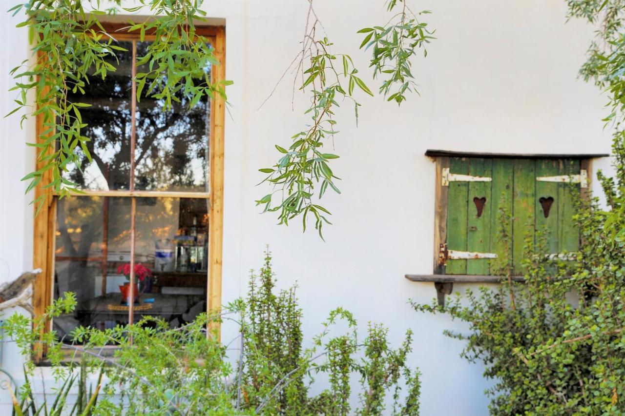 برنس ألبرت Aloe Guest House المظهر الخارجي الصورة